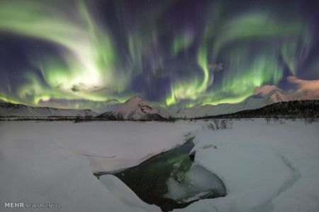 اخبار,اخبار گوناگون,تصاویر زیبا از شفق قطبی در ارتفاعات روسیه
