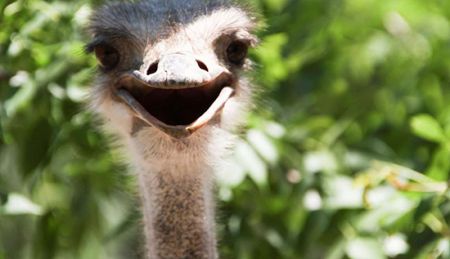 اخبار,اخبار امروز,اخبار جدید