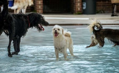 اخبار,اخبار امروز,اخبار جدید