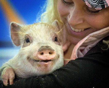 اخبار,اخبار امروز,اخبار جدید