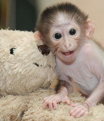 اخبار,اخبار امروز,اخبار جدید