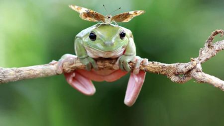 اخبار,اخبار امروز,اخبار جدید