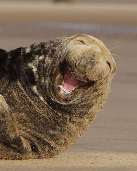 اخبار,اخبار امروز,اخبار جدید