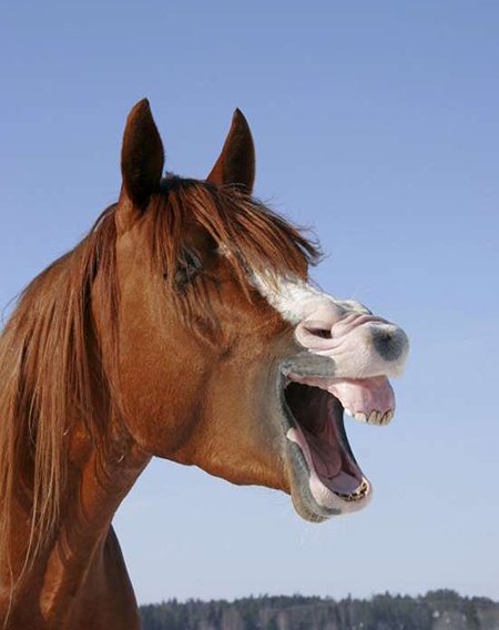 اخبار,اخبار امروز,اخبار جدید