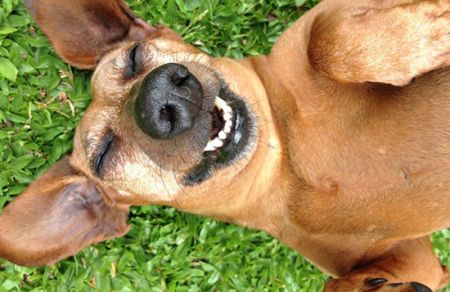 اخبار,اخبار امروز,اخبار جدید