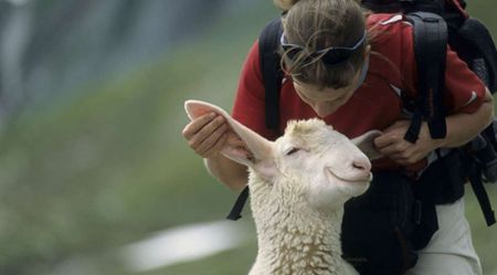 اخبار,اخبار امروز,اخبار جدید