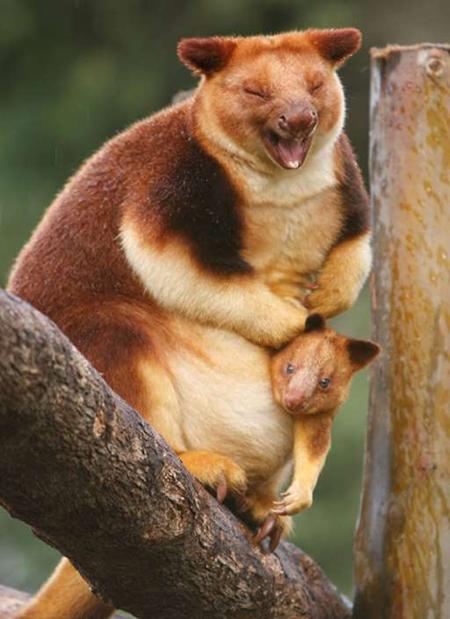 اخبار,اخبار امروز,اخبار جدید