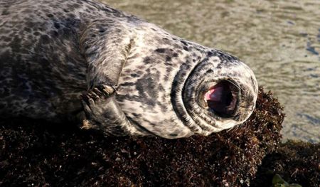 اخبار,اخبار امروز,اخبار جدید