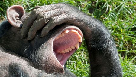 اخبار,اخبار امروز,اخبار جدید