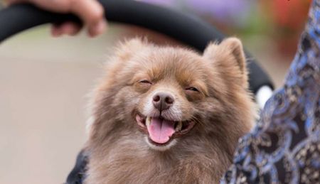 اخبار,اخبار امروز,اخبار جدید