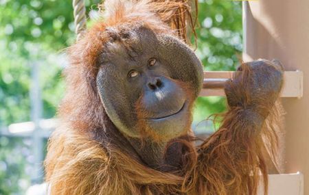 اخبار,اخبار امروز,اخبار جدید