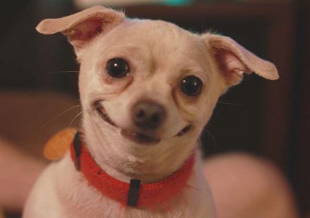 اخبار,اخبار امروز,اخبار جدید