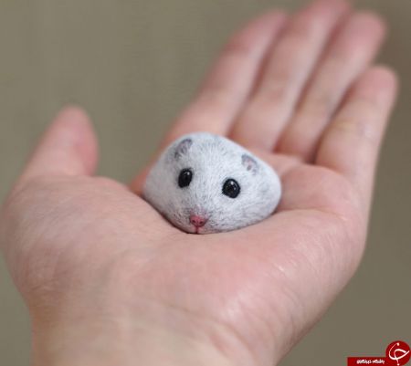 اخبار,اخبارگوناگون,هنر نقاشی روی سنگ