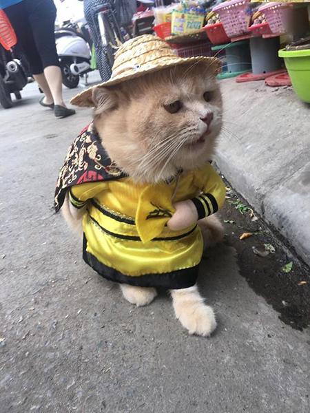 اخبار,اخبارگوناگون,داگ؛ بامزه‌ترین ماهی فروش دنیا