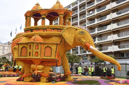 اخبار,اخبار گوناگون,جشنواره دیدنی مرکبات در فرانسه