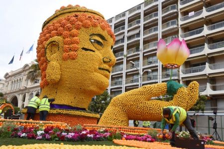 اخبار,اخبار گوناگون,جشنواره دیدنی مرکبات در فرانسه