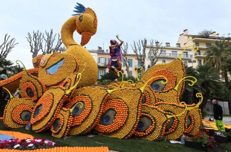 اخبار,اخبار گوناگون,جشنواره دیدنی مرکبات در فرانسه