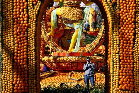 اخبار,اخبار گوناگون,جشنواره دیدنی مرکبات در فرانسه