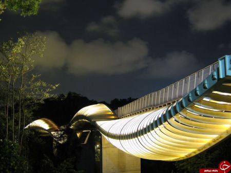 اخبار,اخبار گوناگون,متفاوتترین پلهایی که تاکنون دیدهاید اخبار,اخبار گوناگون,متفاوتترین پلهایی که تاکنون دیدهاید