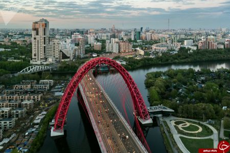 اخبار,اخبار گوناگون,متفاوتترین پلهایی که تاکنون دیدهاید اخبار,اخبار گوناگون,متفاوتترین پلهایی که تاکنون دیدهاید