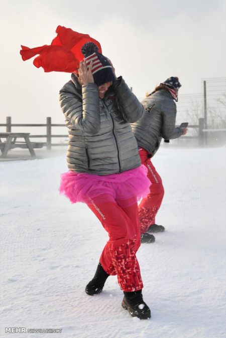 اخبار,اخبارگوناگون, پوشش تماشاگران رقابت های المپیک زمستانی اخبار,اخبارگوناگون, پوشش تماشاگران رقابت های المپیک زمستانی