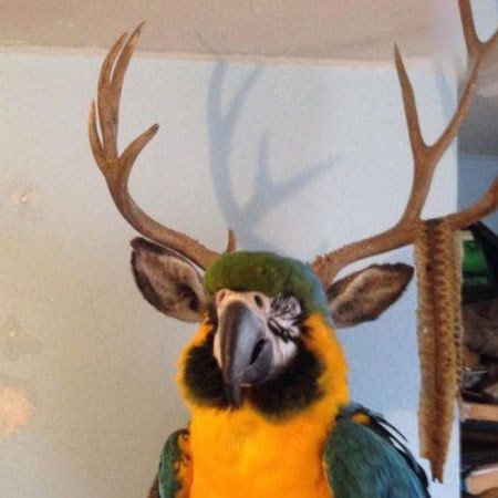 اخبار,اخبارگوناگون,عکسهای اتفاقی اخبار,اخبارگوناگون,عکسهای اتفاقی