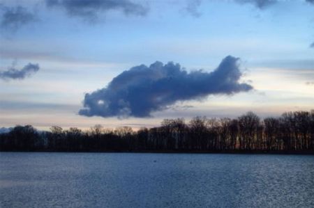 اخبار,اخبارگوناگون,عکسهای اتفاقی اخبار,اخبارگوناگون,عکسهای اتفاقی