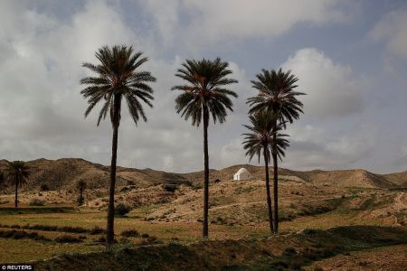 اخبار,اخبارگوناگون,مردمی که در خانه‌های زیرزمینی زندگی می‌کنند