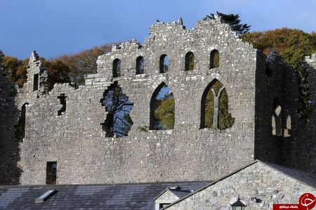 اخبار,اخبار گوناگون,دیوار حسرت