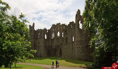 اخبار,اخبار گوناگون,دیوار حسرت