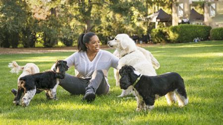 اخبار,اخبار گوناگون,اپرا وینفری