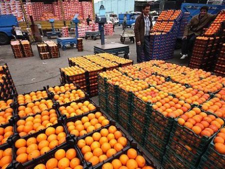 اخبار اقتصادی ,خبرهای اقتصادی ,میوههای دولتی اخبار اقتصادی ,خبرهای اقتصادی ,میوههای دولتی
