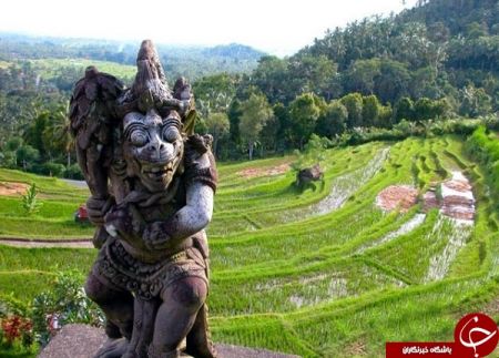 اخبار گوناگون,خبرهای گوناگون, جشن سکوت اخبار گوناگون,خبرهای گوناگون, جشن سکوت