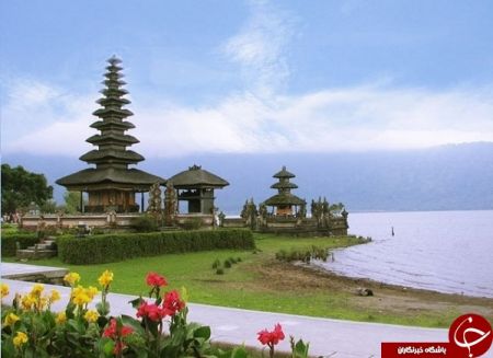 اخبار گوناگون,خبرهای گوناگون, جشن سکوت اخبار گوناگون,خبرهای گوناگون, جشن سکوت