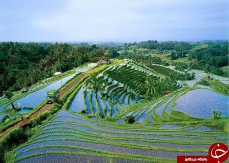 اخبار گوناگون,خبرهای گوناگون, جشن سکوت اخبار گوناگون,خبرهای گوناگون, جشن سکوت