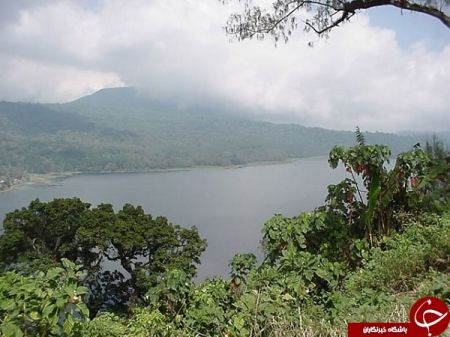 اخبار گوناگون,خبرهای گوناگون, جشن سکوت اخبار گوناگون,خبرهای گوناگون, جشن سکوت