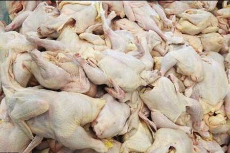 اخباراقتصادی,خبرهای اقتصادی,قیمت گوشت گوسفندی اخباراقتصادی,خبرهای اقتصادی,قیمت گوشت گوسفندی