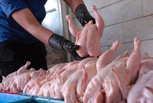 اخباراقتصادی ,خبرهای اقتصادی ,قیمت گوشت مرغ اخباراقتصادی ,خبرهای اقتصادی ,قیمت گوشت مرغ