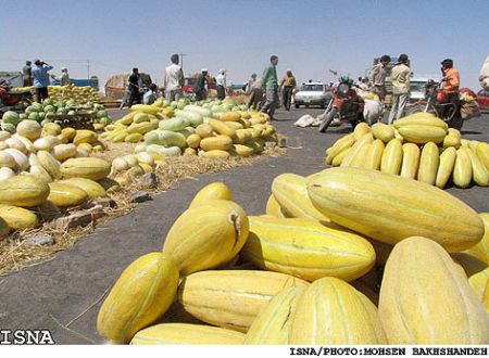 اخباراقتصادی ,خبرهای اقتصادی,خربزه اخباراقتصادی ,خبرهای اقتصادی,خربزه