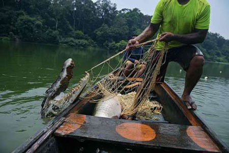 عکسهای جالب,عکسهای جذاب, ماهیگیر برزیلی