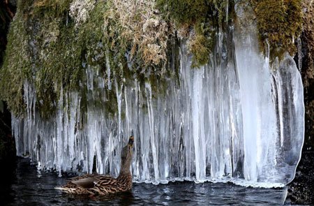 عکسهای جالب,عکسهای جذاب ,آبشار یخ زده 