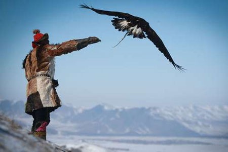 عکسهای جالب,عکسهای جذاب, شکارچیان عقاب