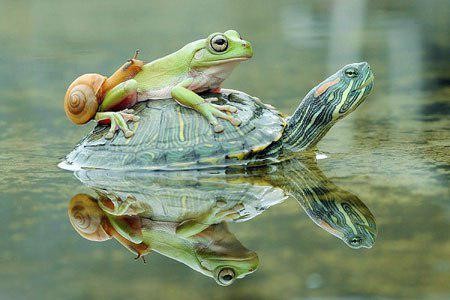 خودروی مفهومی جدید عکسهای جالب,عکسهای جذاب ,خودروی مفهومی