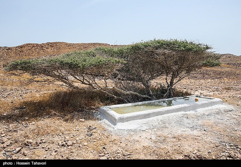 اخبار,اخبار گوناگون,جزایر فارور بزرگ و کوچک