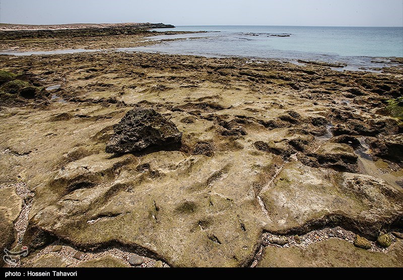 اخبار,اخبار گوناگون,جزایر فارور بزرگ و کوچک