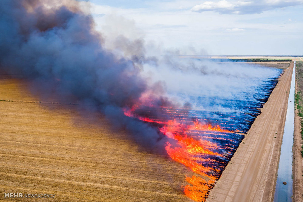 اخبار,اخبار گوناگون,صنعت دامداری و کشاورزی استرالیا
