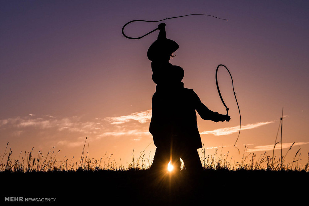 اخبار,اخبار گوناگون,صنعت دامداری و کشاورزی استرالیا