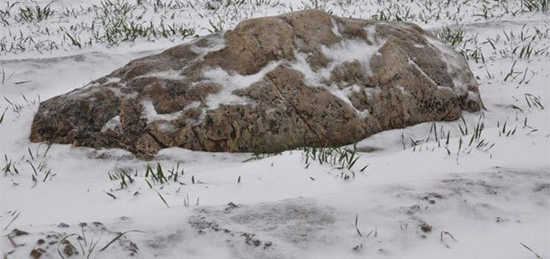 اخبار,اخبار گوناگون,قله