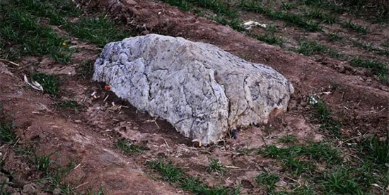 اخبار,اخبار گوناگون,قله