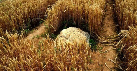 اخبار,اخبار گوناگون,قله